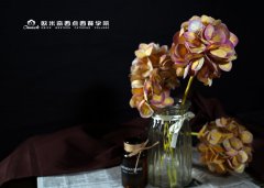 高中毕业学什么技术有前途？